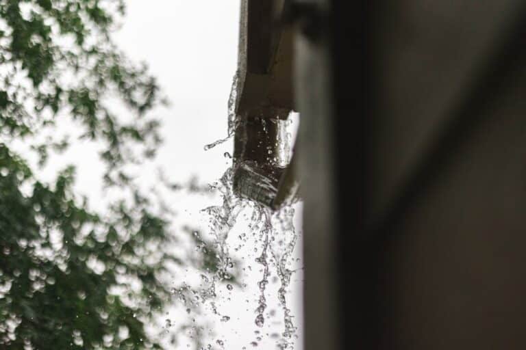 Gutter cleaning benefits
